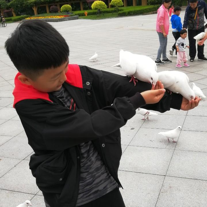 跃进钓场 小影