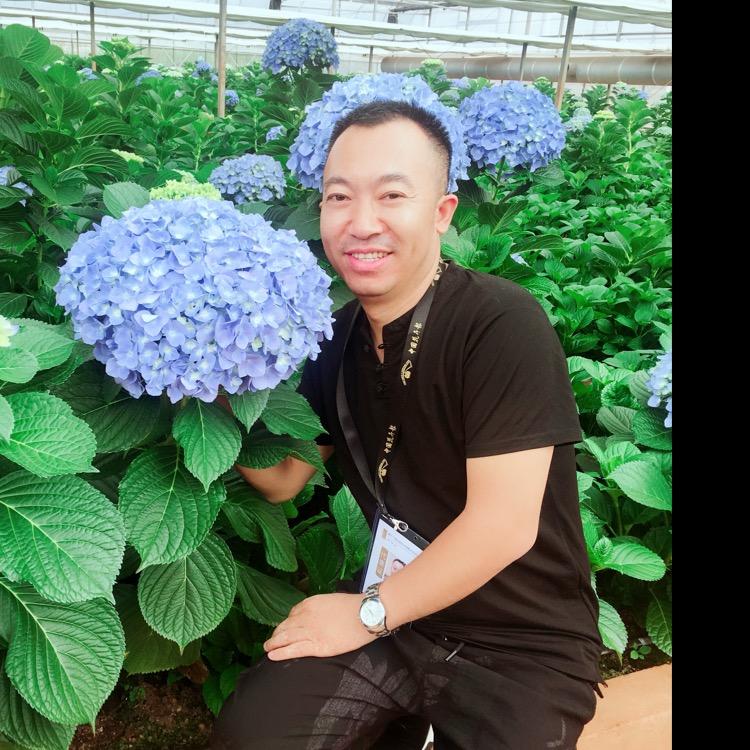 @插花花艺培训（木易）