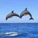 小哥🎉打王者荣耀 玩玩