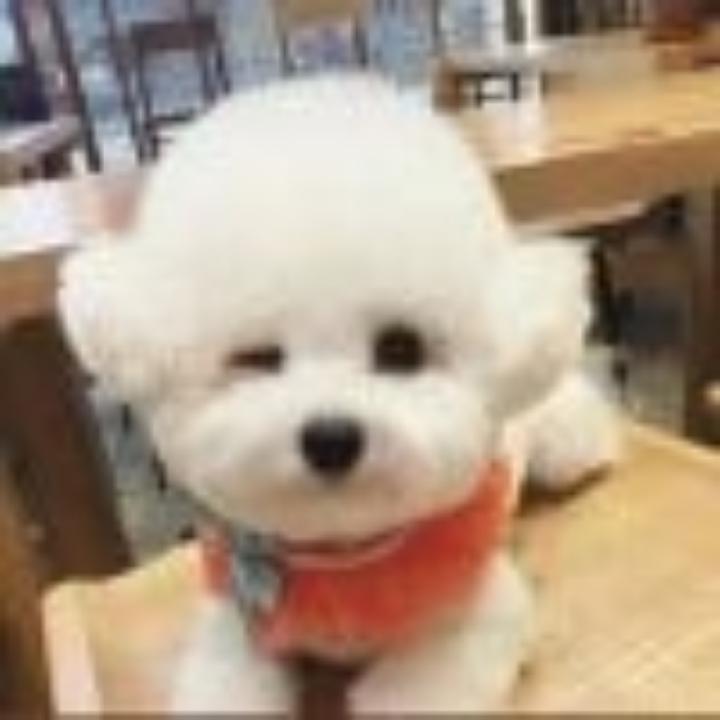 兜兜ᵉⁿ🐨