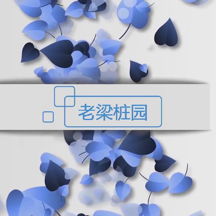 老梁桩园