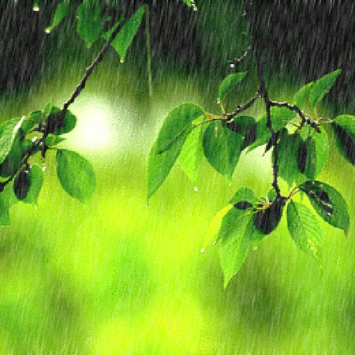 静夜听雨声