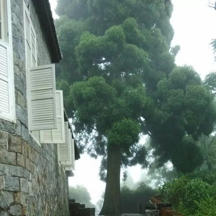 坚强的往前走