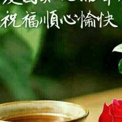 用户78983272浅浅的微笑43833