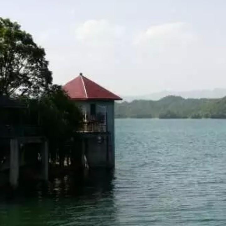 同兴周