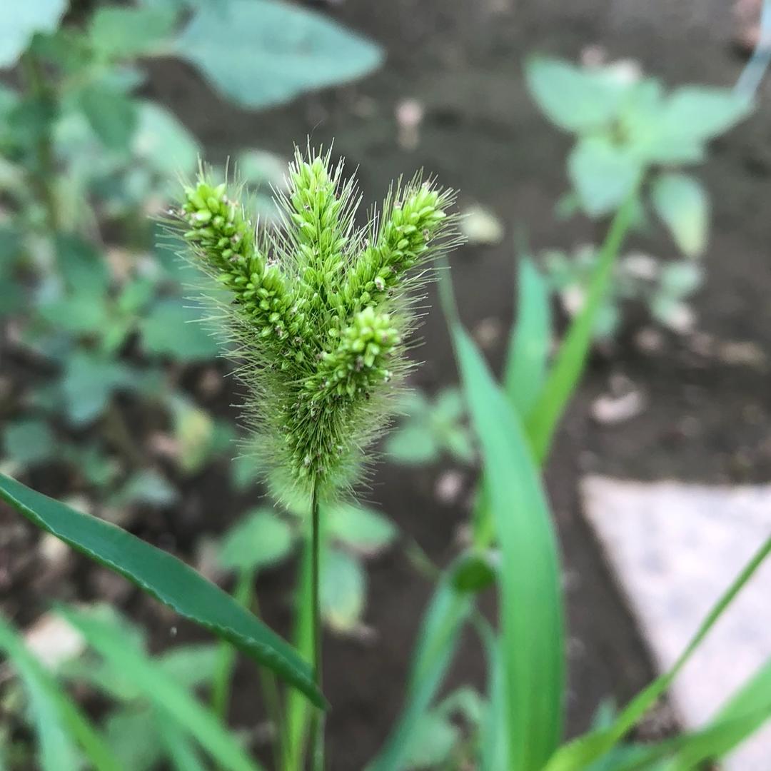 名可名