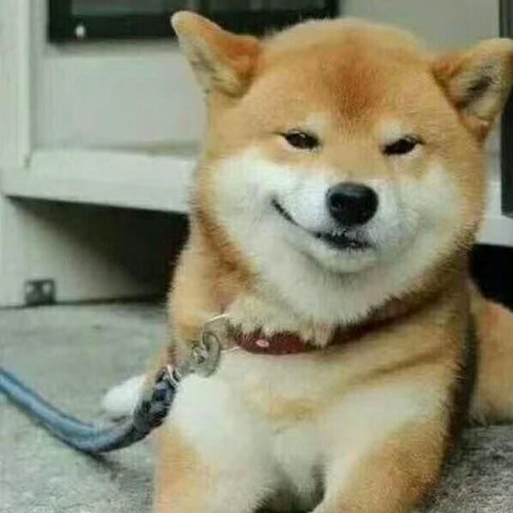 自信QAQ