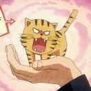 🐯。