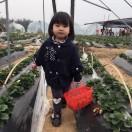 （专业开荒保洁）丽姐