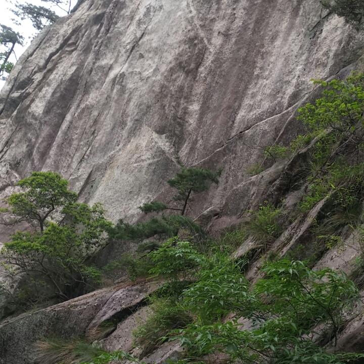 缘分天空