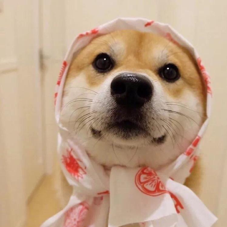 - 哒不溜