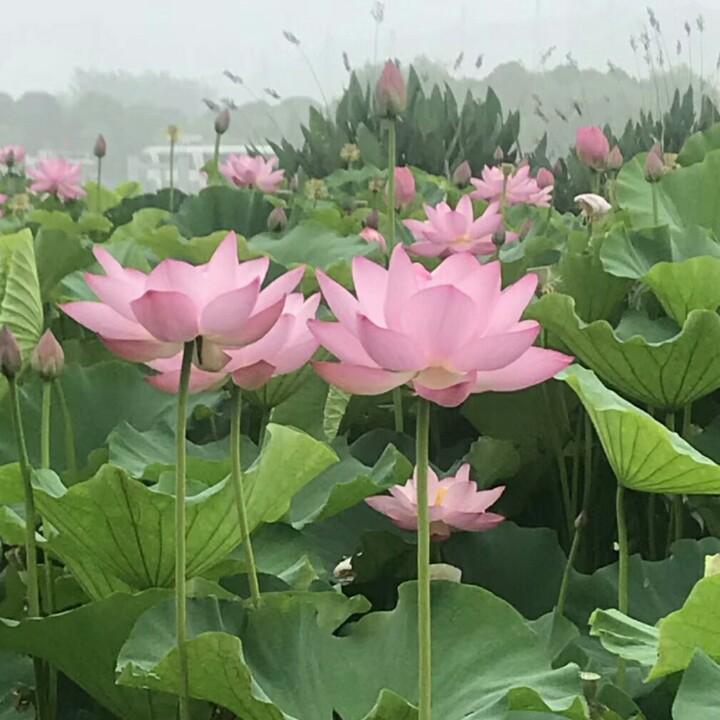 @缘份