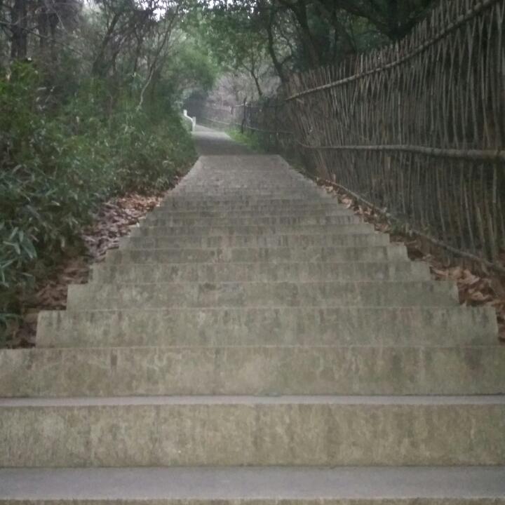 飝哥