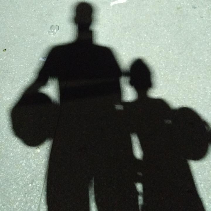霸王霸王龙