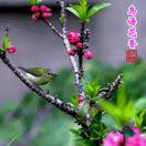 陈    秀