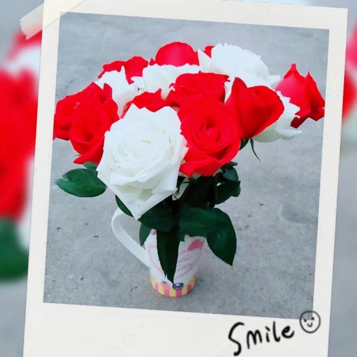 死胖子你给我站住Ss