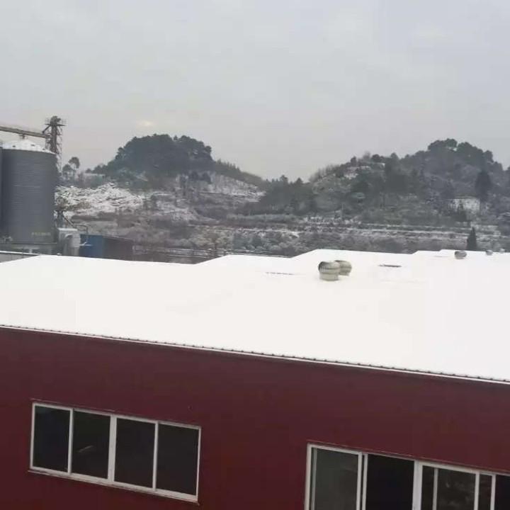 芷江胜利泡沫厂