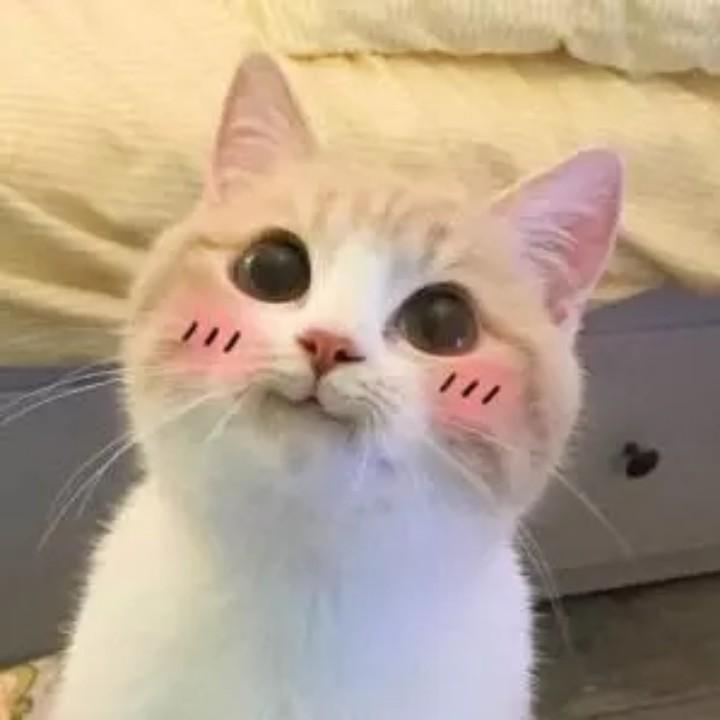 长乐丶