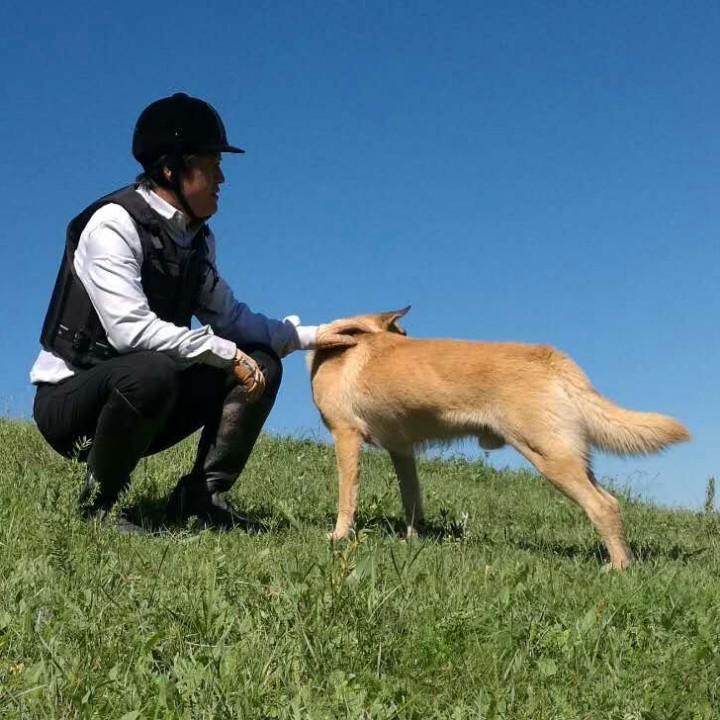 内蒙古乌尼特京旗农业有限公司