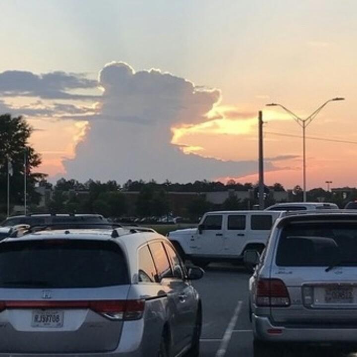 热爱生活的人    觉主