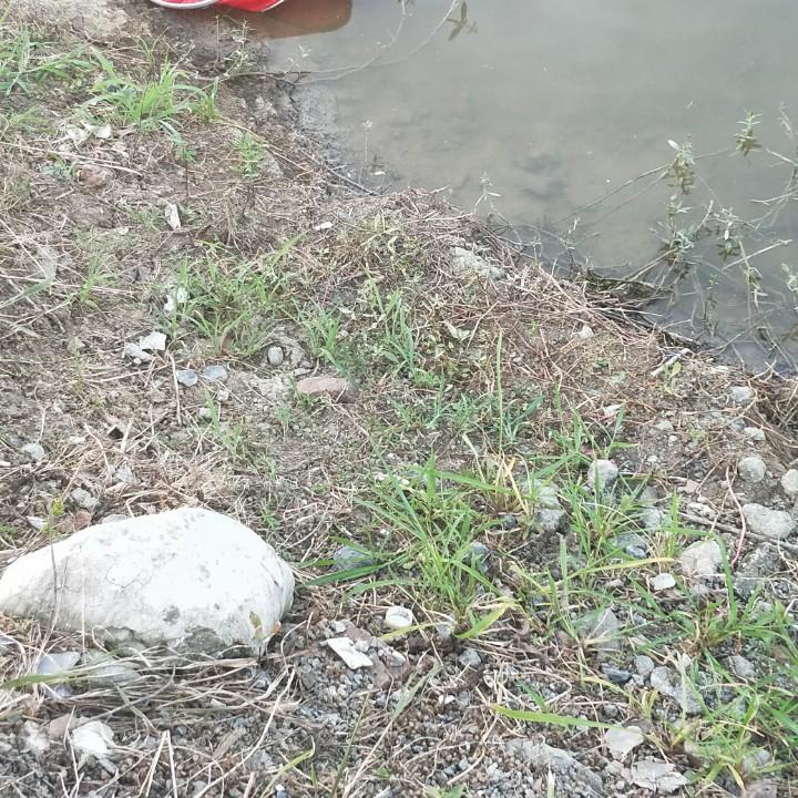 张哥野钓〈1〉
