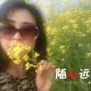 落叶（拒合拍）