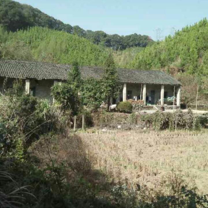 你若安好，便是晴天