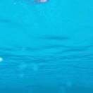 空调安装维修服务一条龙