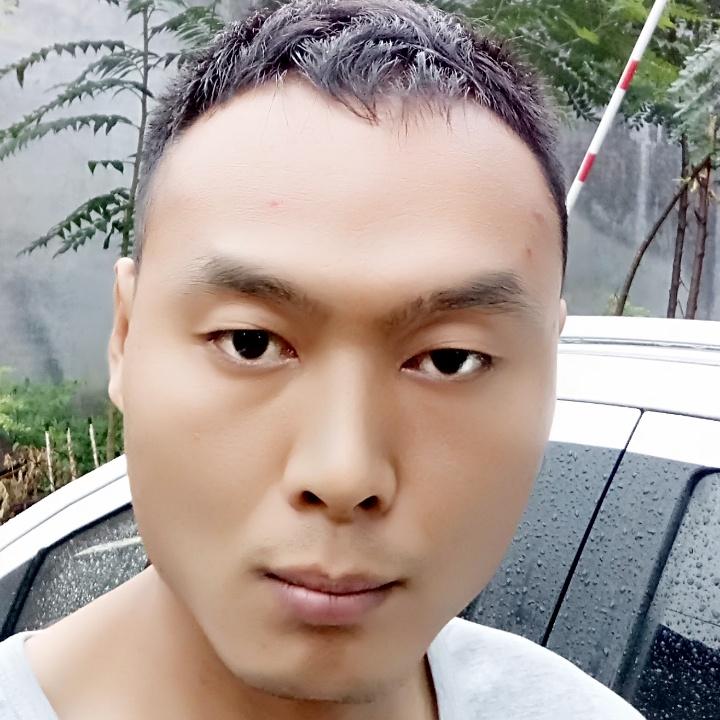落叶等风吹