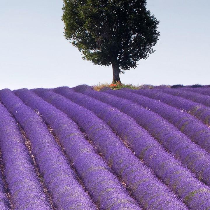 安宁