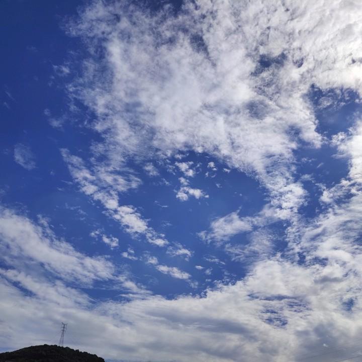 安洛殇