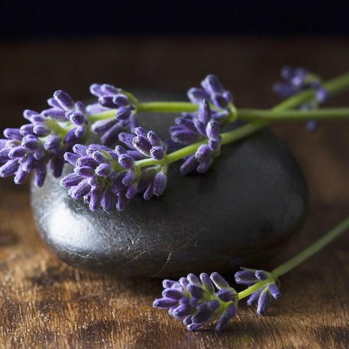 醉酒当歌的❤️谁人知