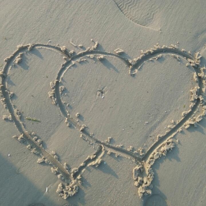 🐷童乐汇幼儿园王姝慧老师