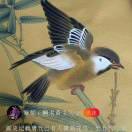 月亮（拒绝私聊）