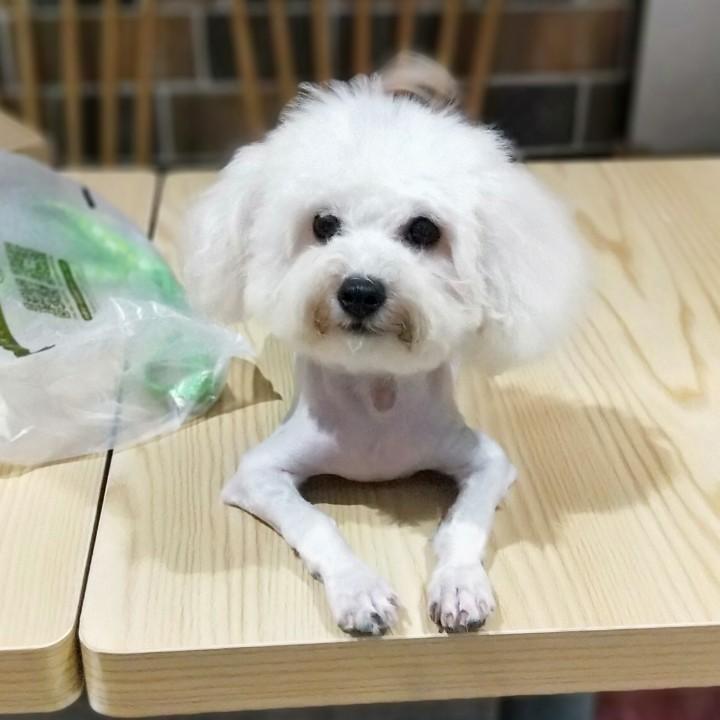 Aorm丶疯丫头°