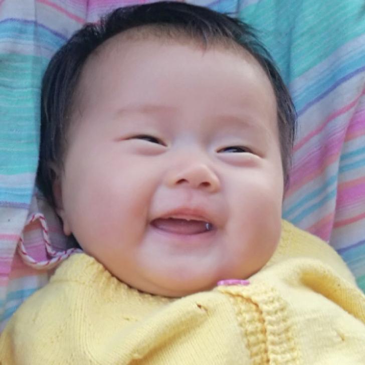 芒果