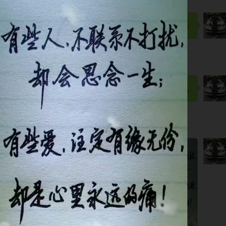 光头哥