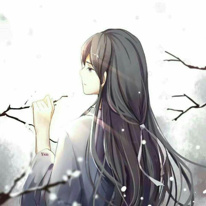 风雨人生