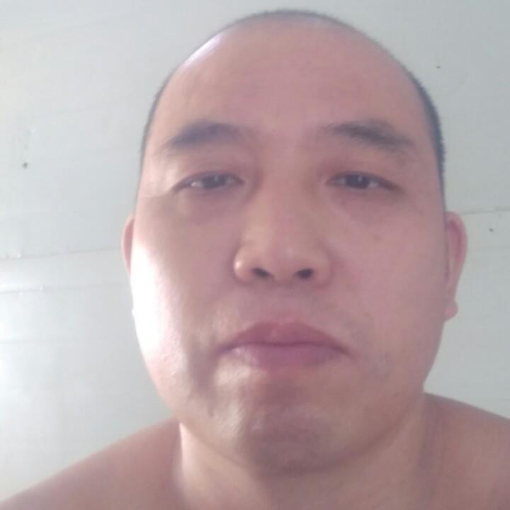 梧桐树