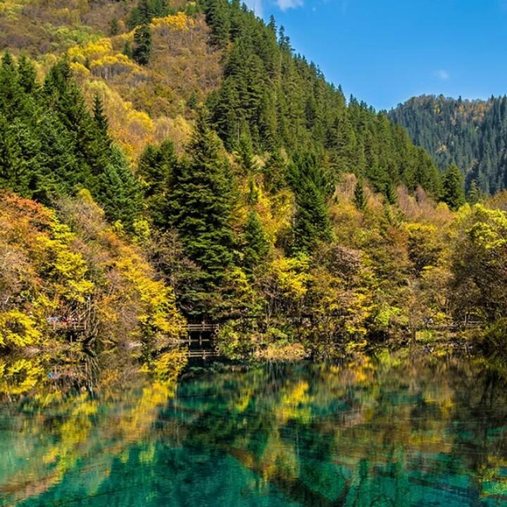 日复一日