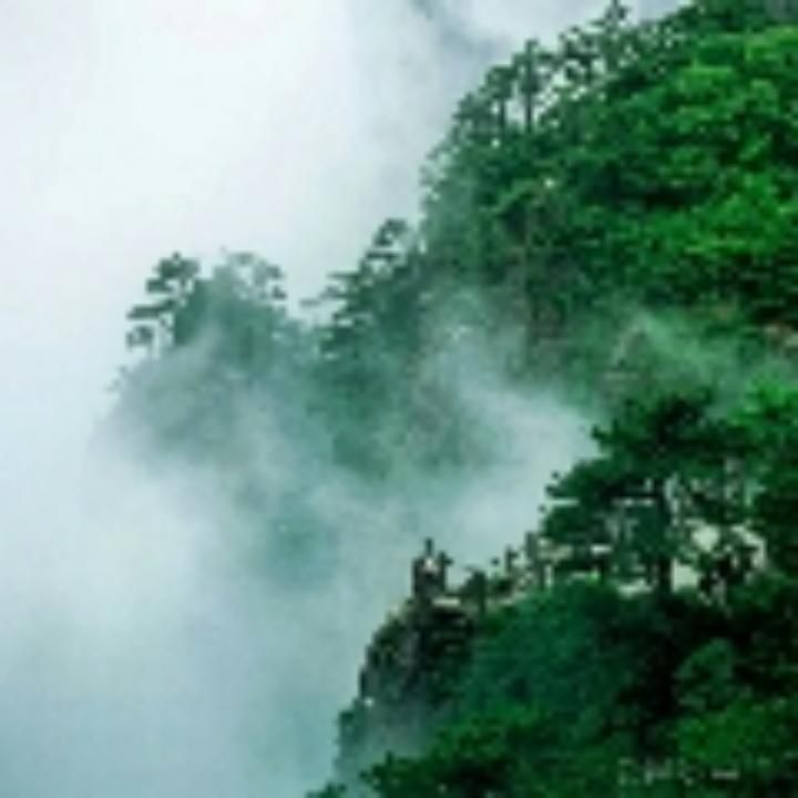 徐闻双蒸