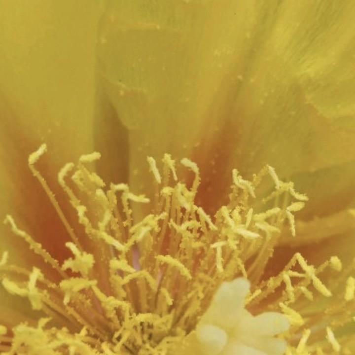 曦曦宝贝
