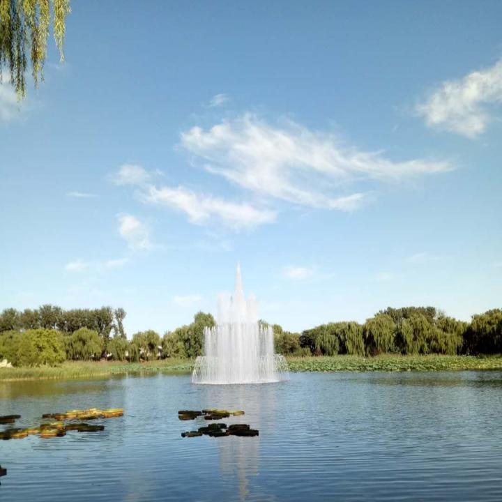 奥特曼不打小怪兽