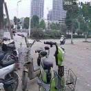 有你真好张子银