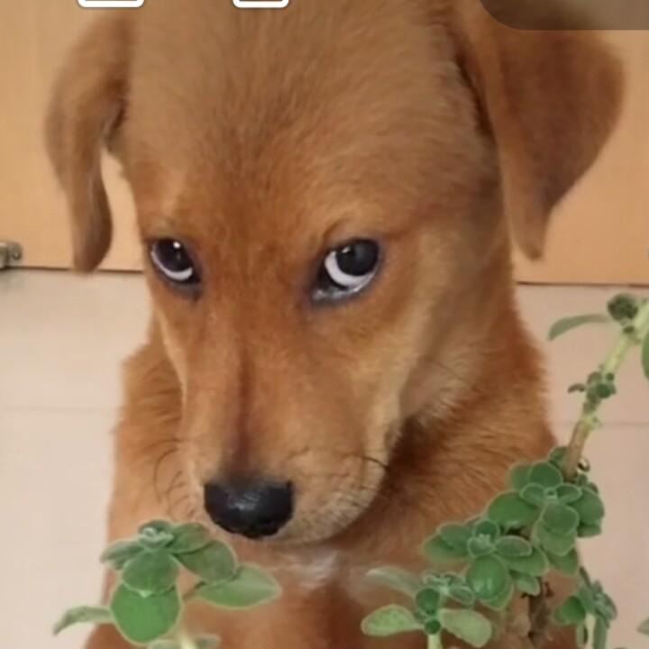 许泽雄