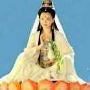 明哥，杭州，南方物流公司