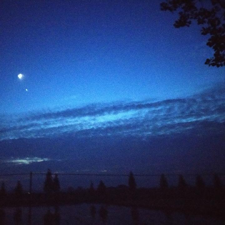 王者荣耀双鱼