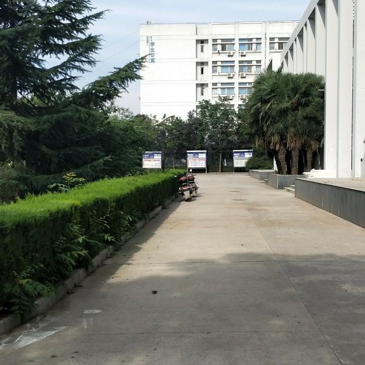 戒不掉的烟