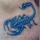 🌈方□圆○（001）