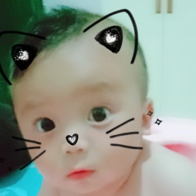 一野猫